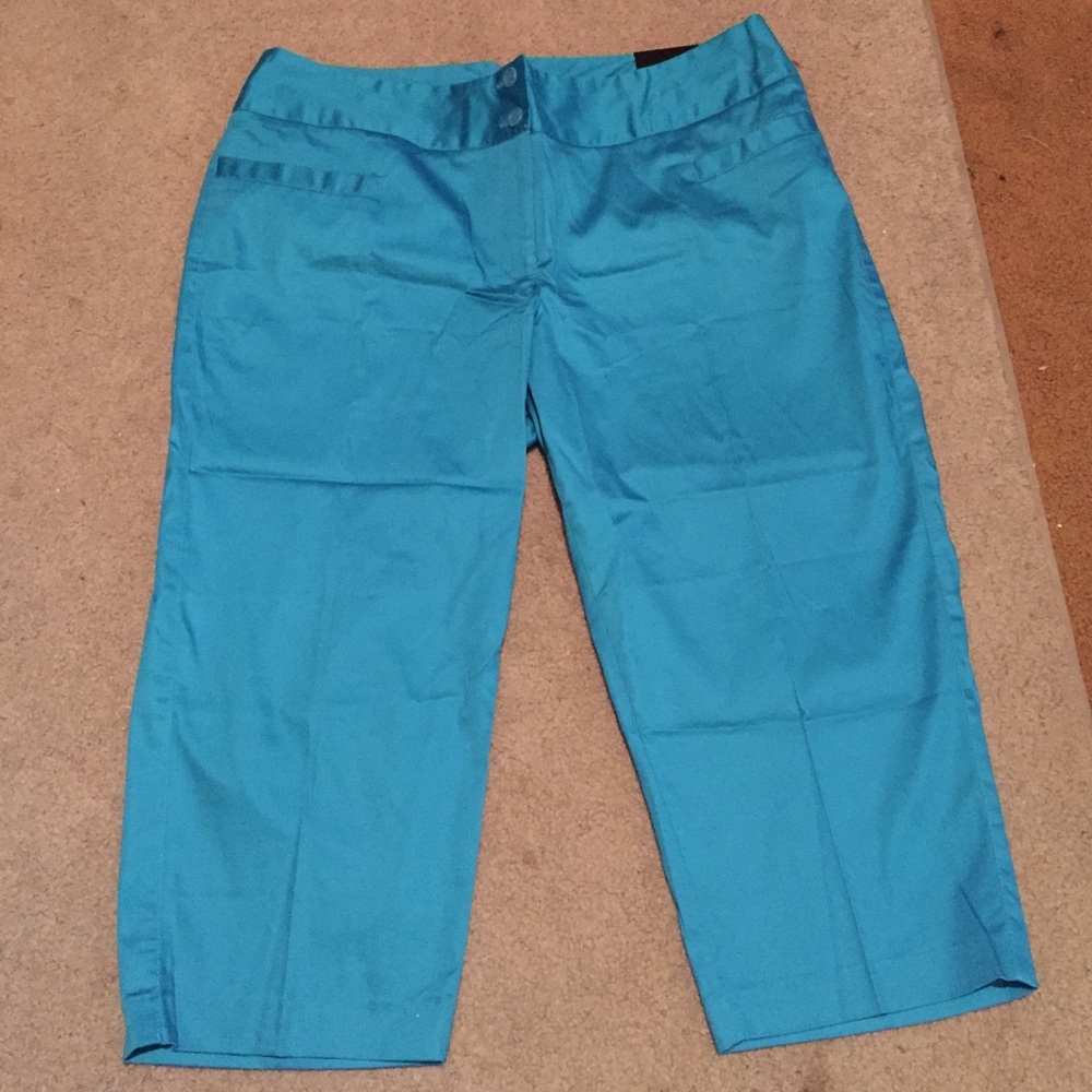 Lane Bryant capris. Beautiful color, but not in my current size.